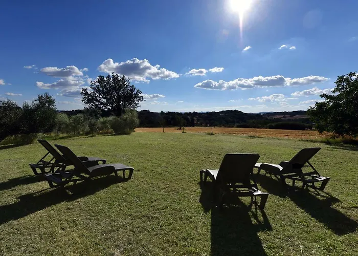 Osperellone بيرودجا